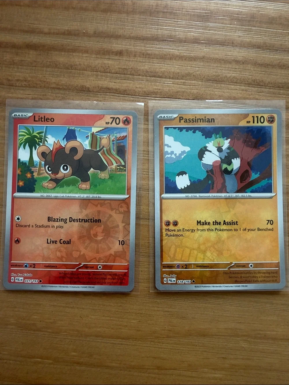 Pokemon pokémon paldea